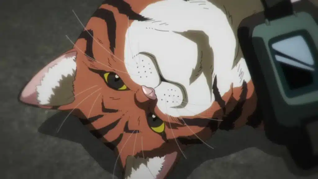 17 animes shounen de 2025 mais elogiados pelos fãs e onde assistir - Imagem do artigo